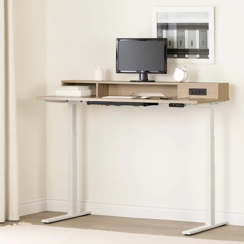 Majyta Light Brown Adjustable Height Standing Desk with Built In...