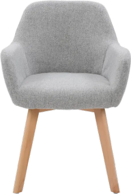 Ayla Light Gray Upholstered Side Chair, Set of 2
