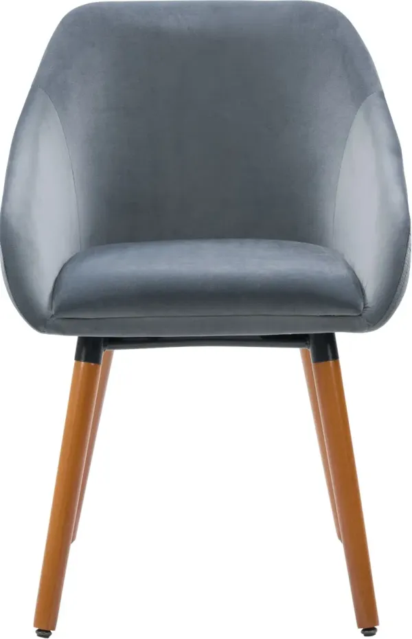 Ayla Gray Velvet Side Chairs, Set of 2
