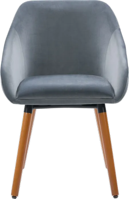 Ayla Gray Velvet Side Chairs, Set of 2