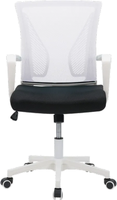 Workspace Ergonomic White Mesh Office Chair