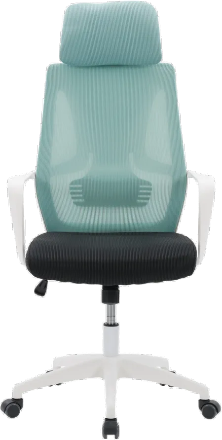 Workspace Teal and Black Mesh Office Chair