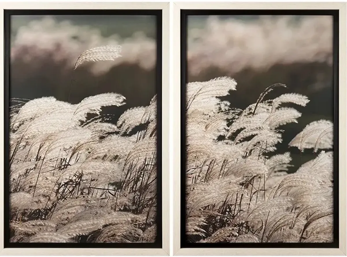 Natures Melody Framed Art