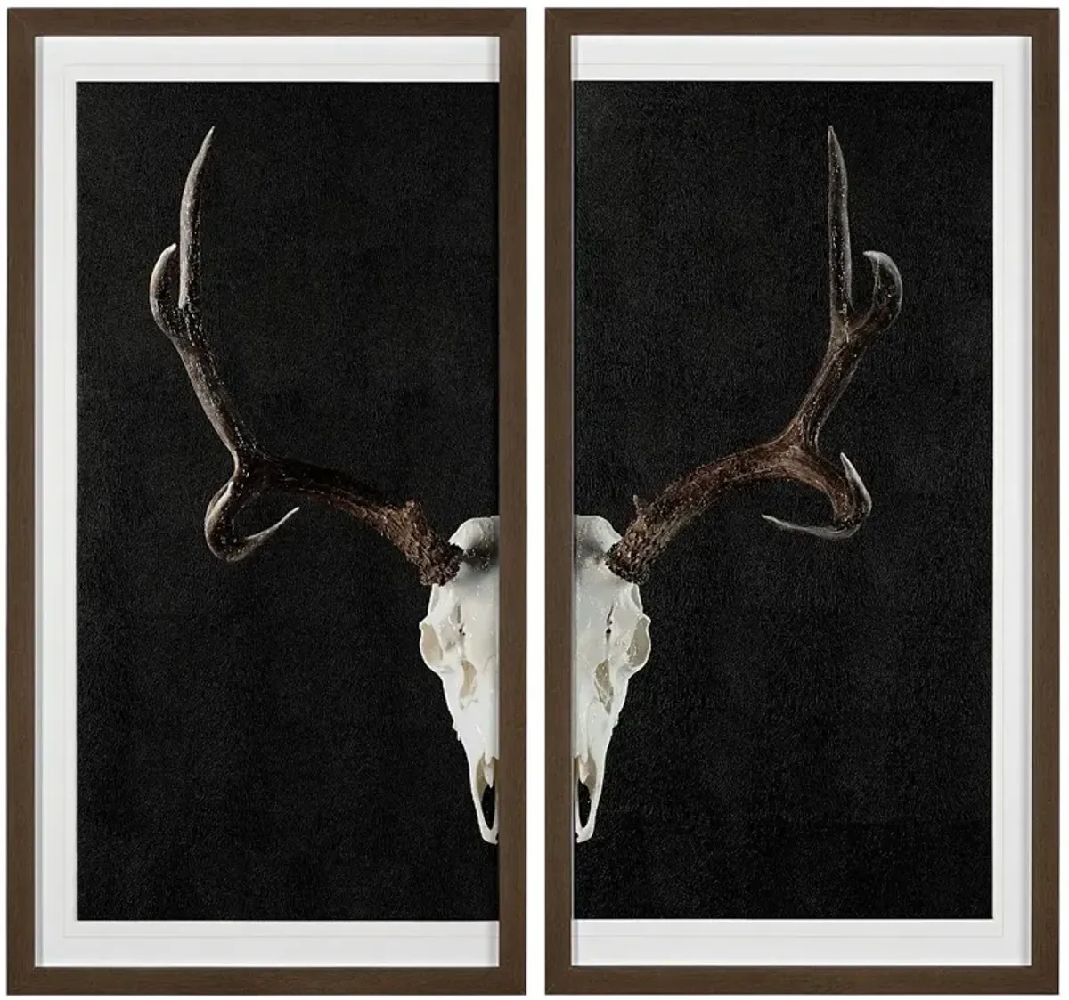 Deer Skull Framed Art