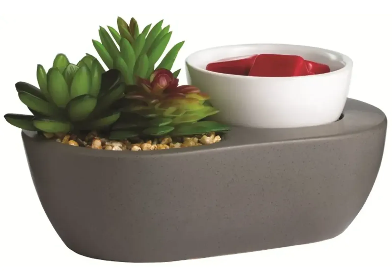 Succulent ArtScents Wax Warmer