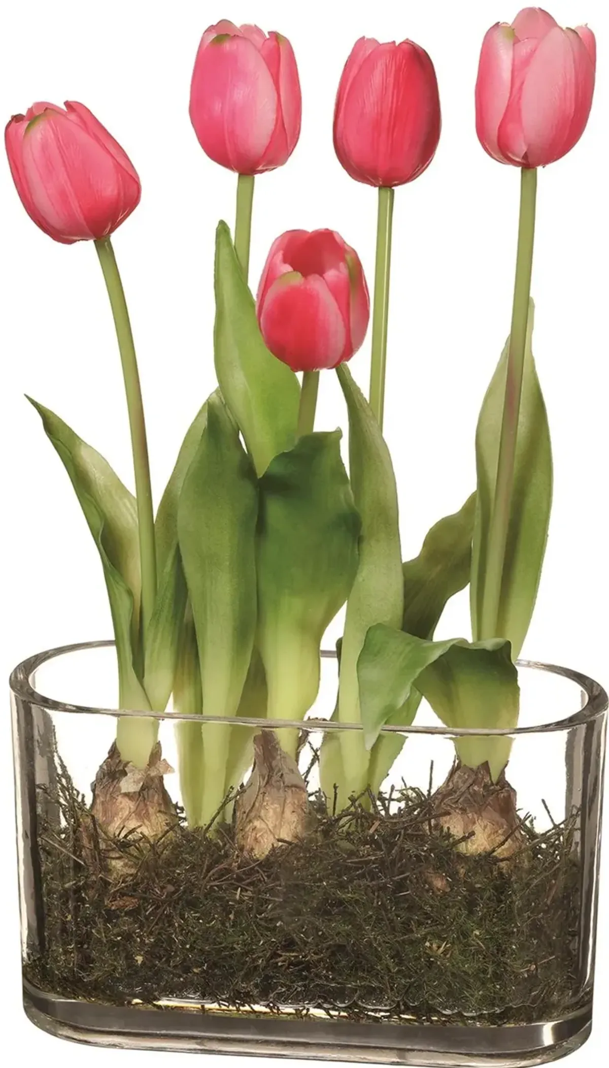 13 Inch Red Tulips in Glass Vase