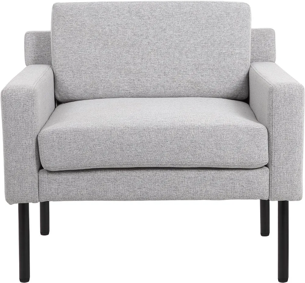 Gray Modern Lounge Chair