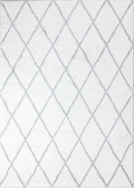 Faris White and Gray 4 x 6 Area Rug