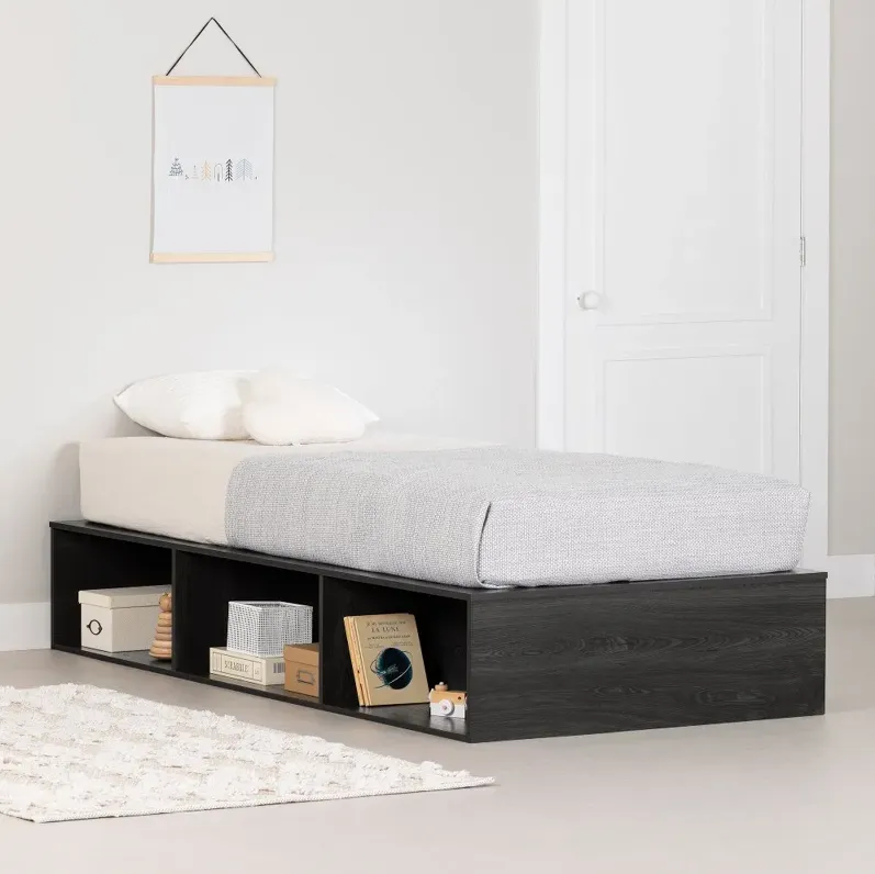 Hourra Gray Oak Twin Platform Storage Bed - South Shore