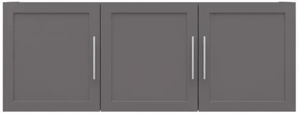 Camberly Framed Graphite Gray 54" Wall Cabinet