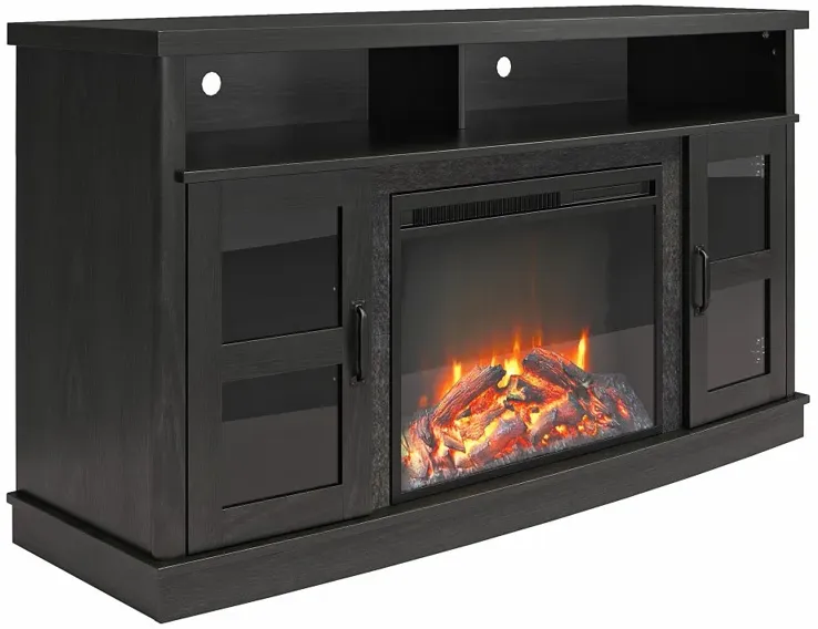 Barrow Creek 53" Black Fireplace Console with Glass Doors