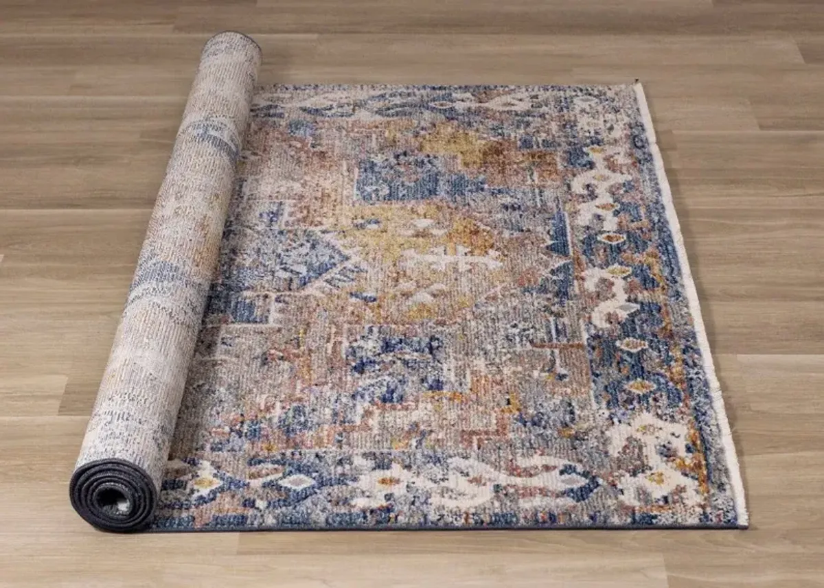 Evora Gray & Blue 6 x 9 Distressed Area Rug