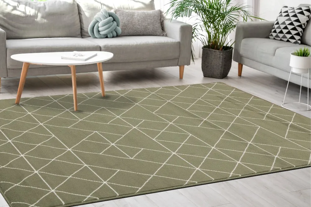 Faira Green Geometric 4 x 6 Area Rug