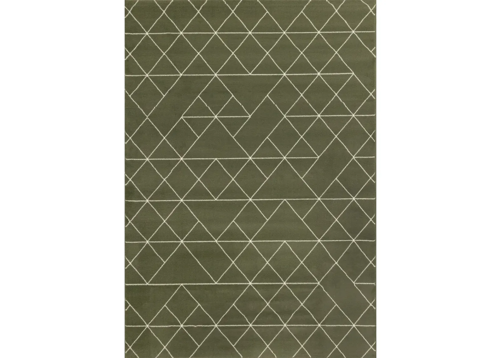 Faira Green Geometric 4 x 6 Area Rug