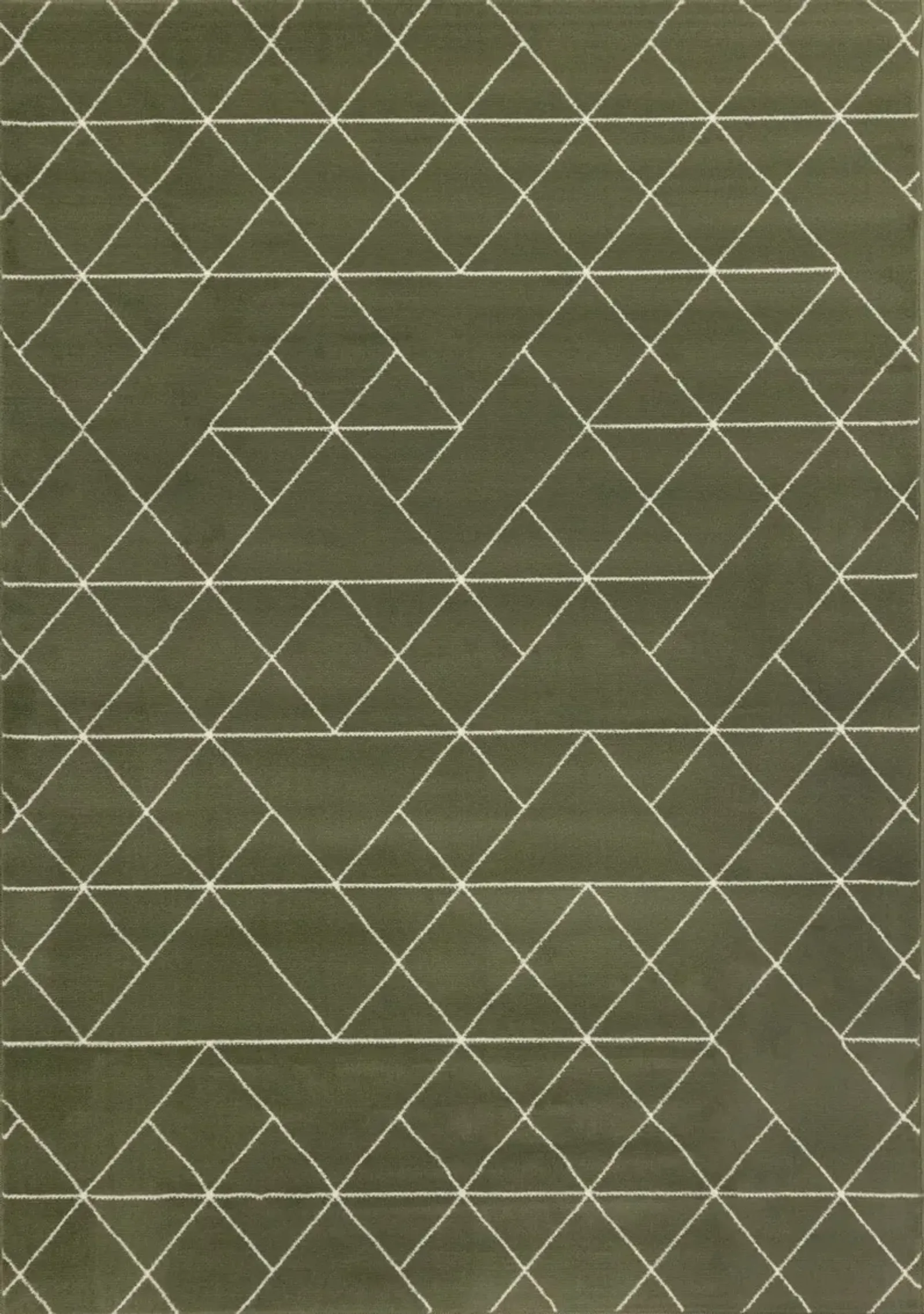 Faira Green Geometric 4 x 6 Area Rug