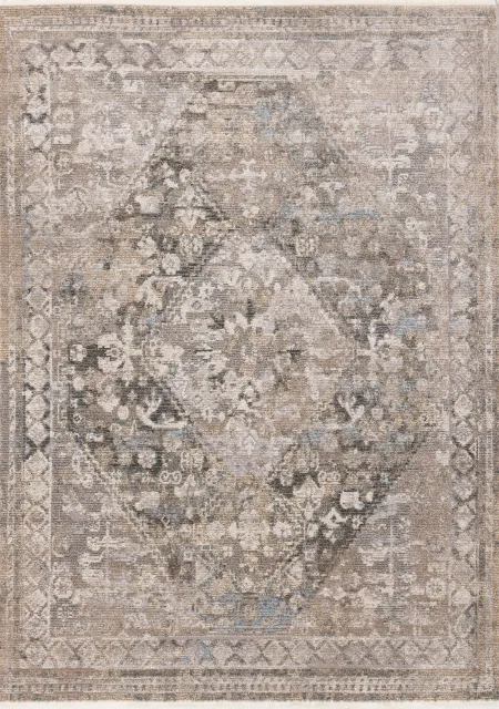 Evora Grey and Beige 6 x 9 Traditional Area Rug