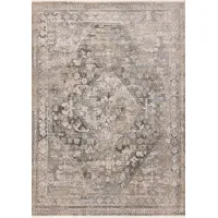 Evora Grey and Beige 8 x 10 Traditional Area Rug