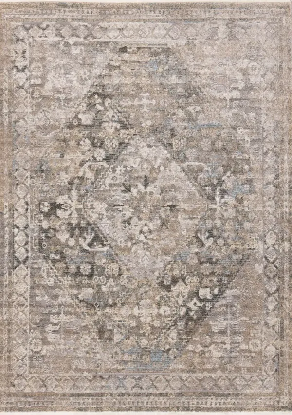 Evora Grey and Beige 8 x 10 Traditional Area Rug