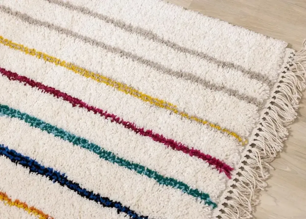 Bora Double Rainbow 5 x 8 Shag Rug