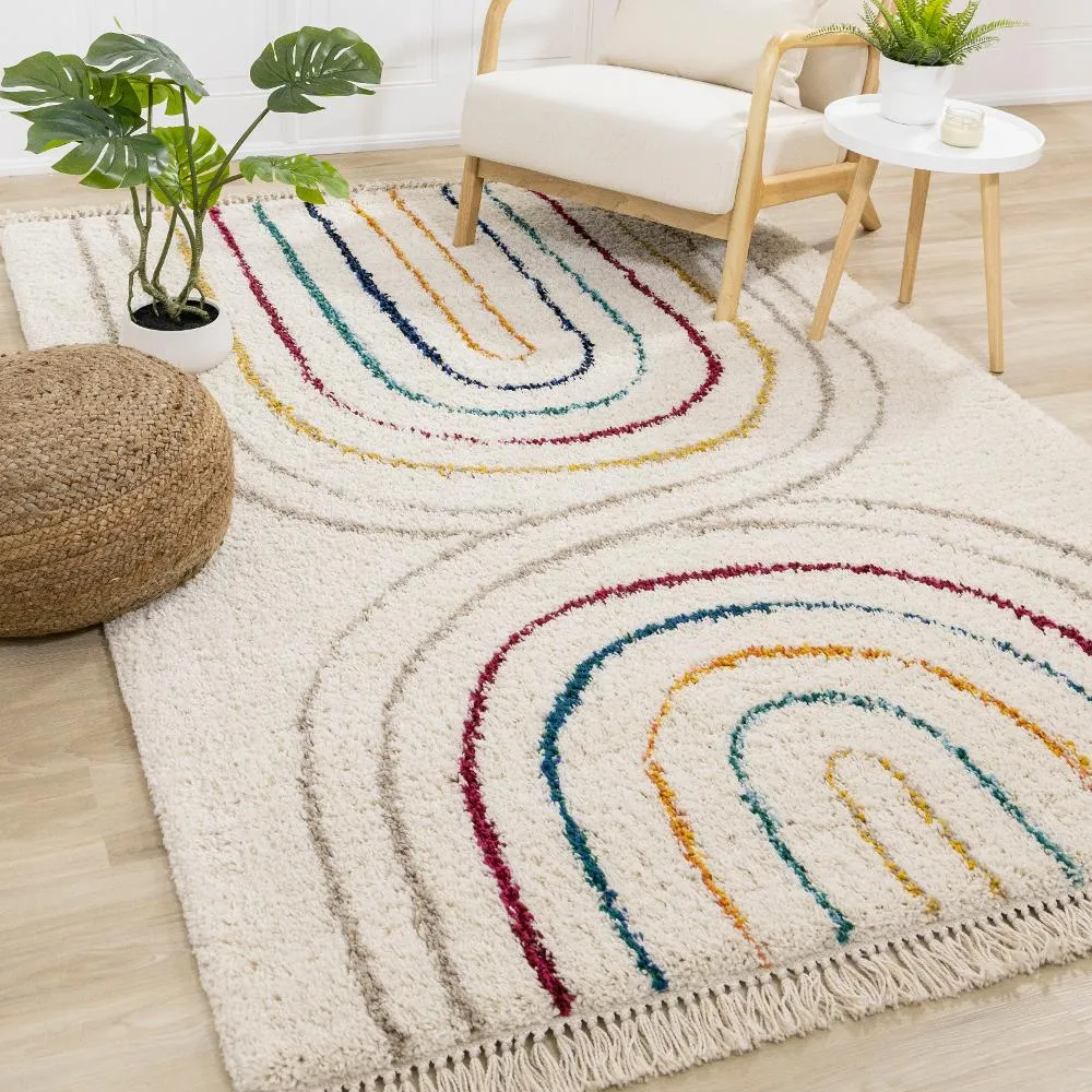 Bora Double Rainbow 5 x 8 Shag Rug