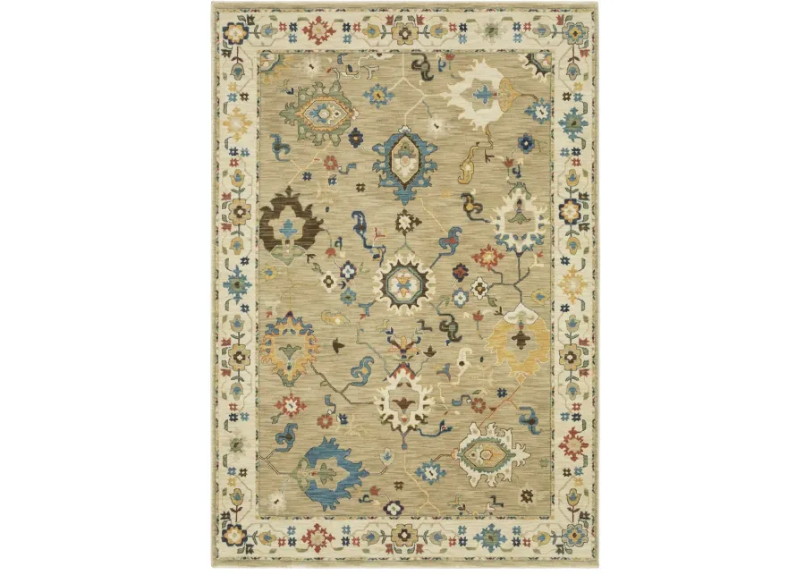 Francesca 8 x 11 Oriental Beige Area Rug