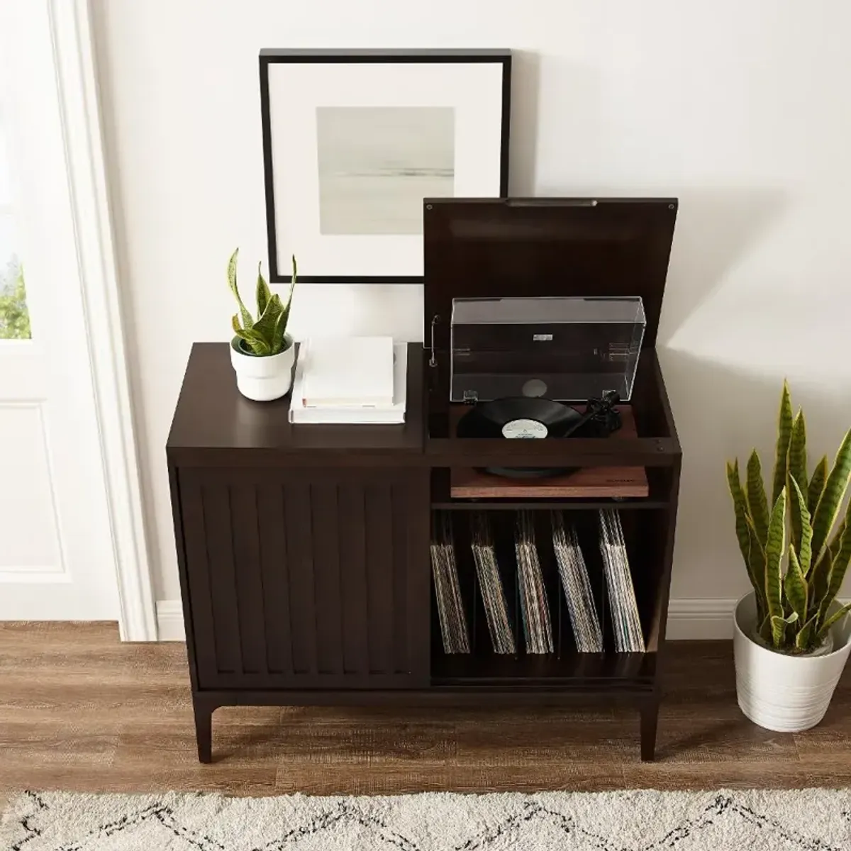 Asher Record Storage Media Console