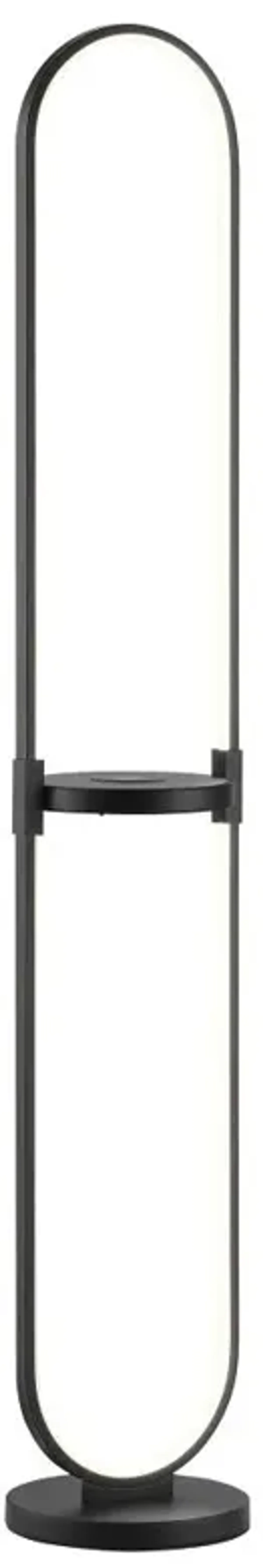 Black LED Wireless Floor Lamp