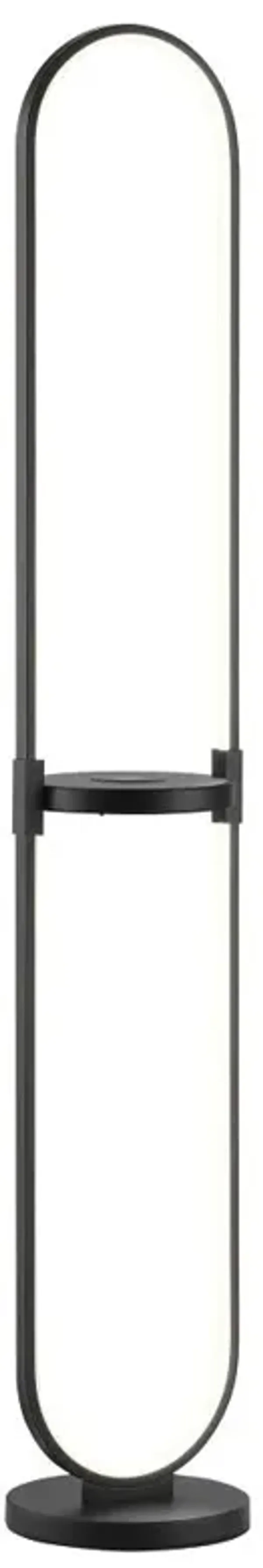 Black LED Wireless Floor Lamp