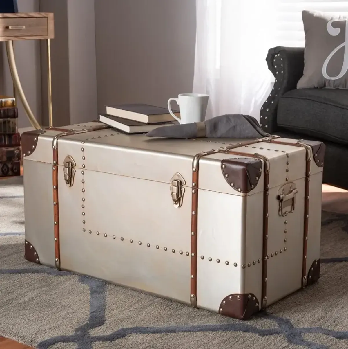 Bechet Industrial Silver Metal Storage Trunk