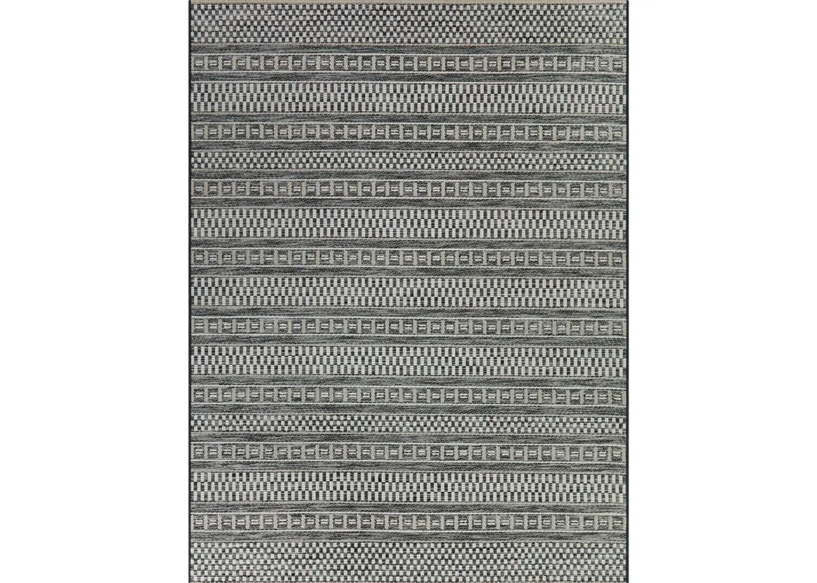 Cohen 8 x 10 Charcoal Transitional Outdoor Patio Rug