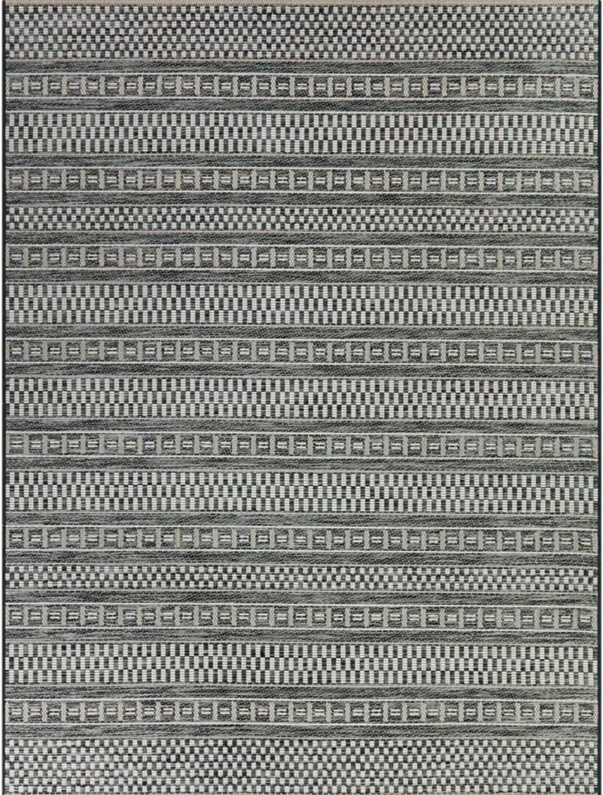 Cohen 8 x 10 Charcoal Transitional Outdoor Patio Rug