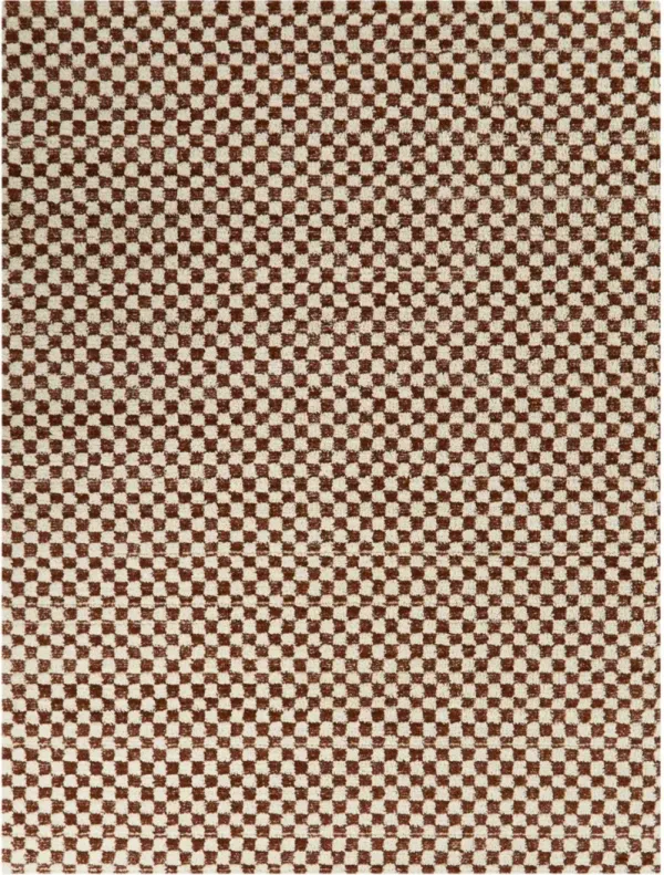 Mann 8 x 10 Checkered Orange Area Rug