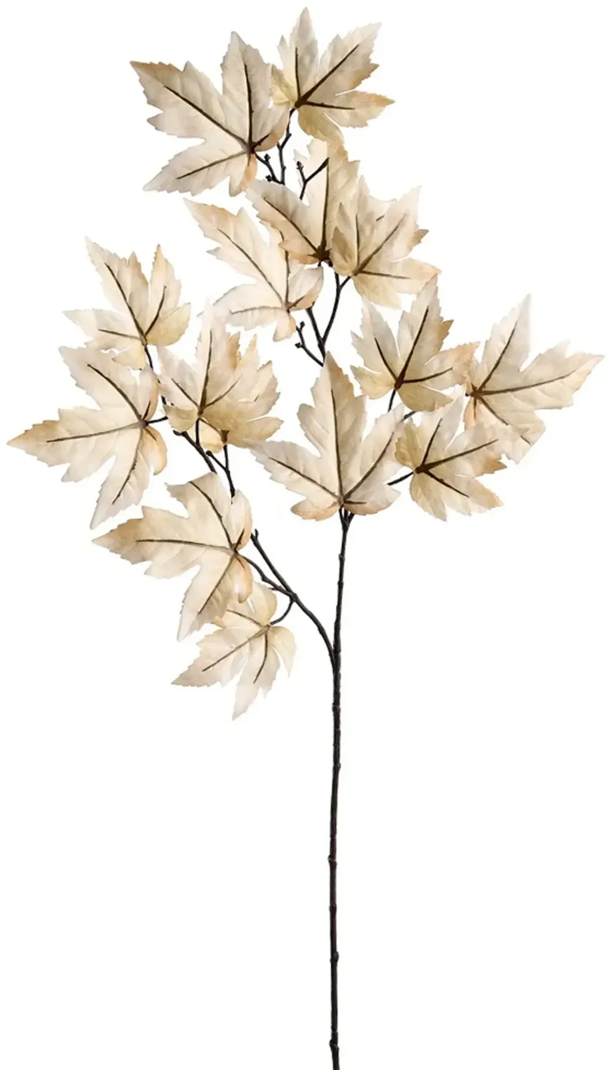 36 Inch Beige Maple Leaf Spray