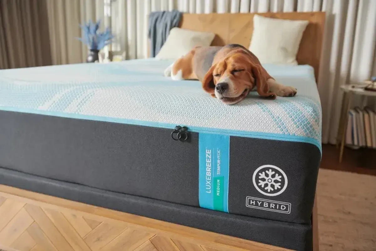 Tempur-Pedic LuxeBreeze 2.0 Medium Hybrid Cal-King Mattress
