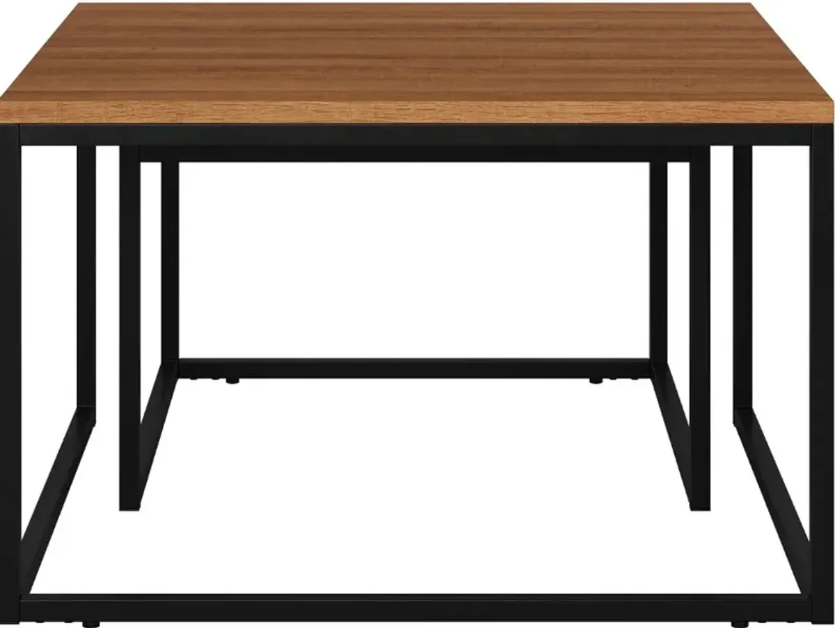 Fort Worth Brown Square Nesting Coffee Table