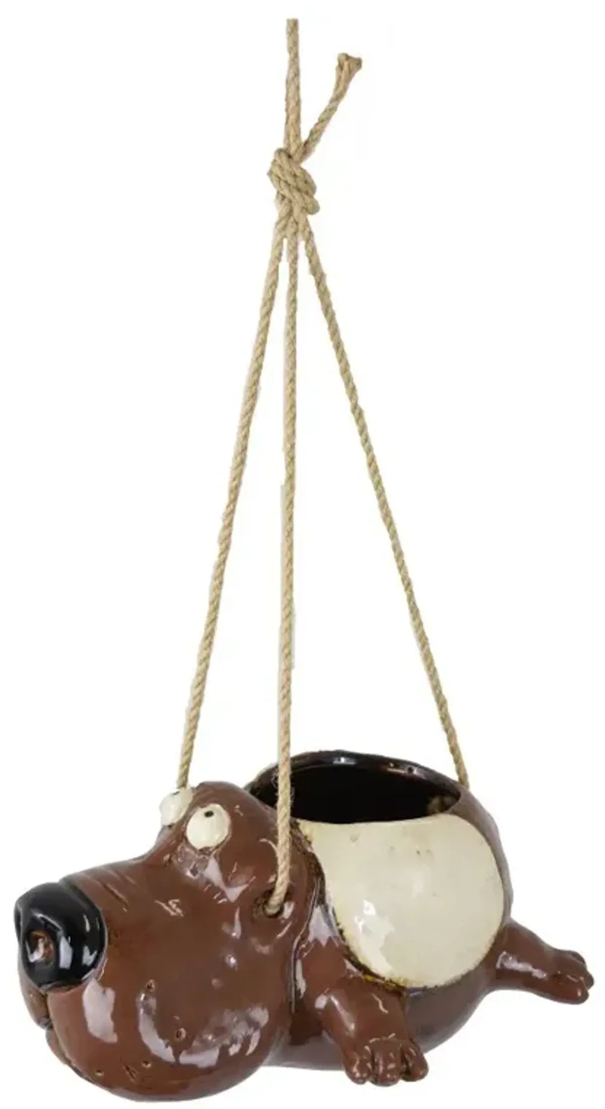 Hanging Dog Planter