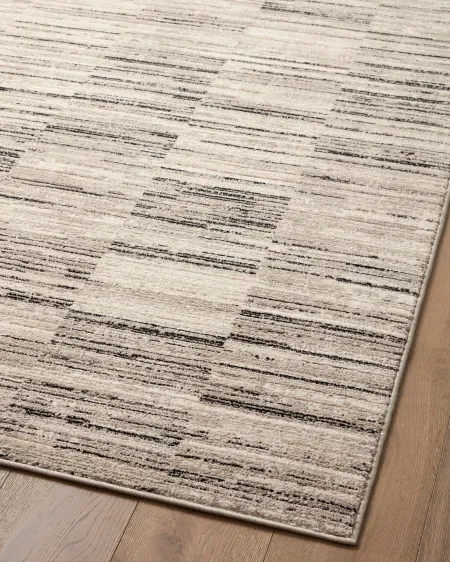Darby 5 x 8 Charcoal Sand Area Rug