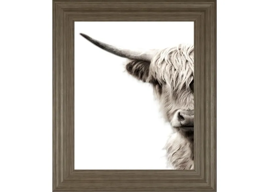 Highland Cattle Framed Art