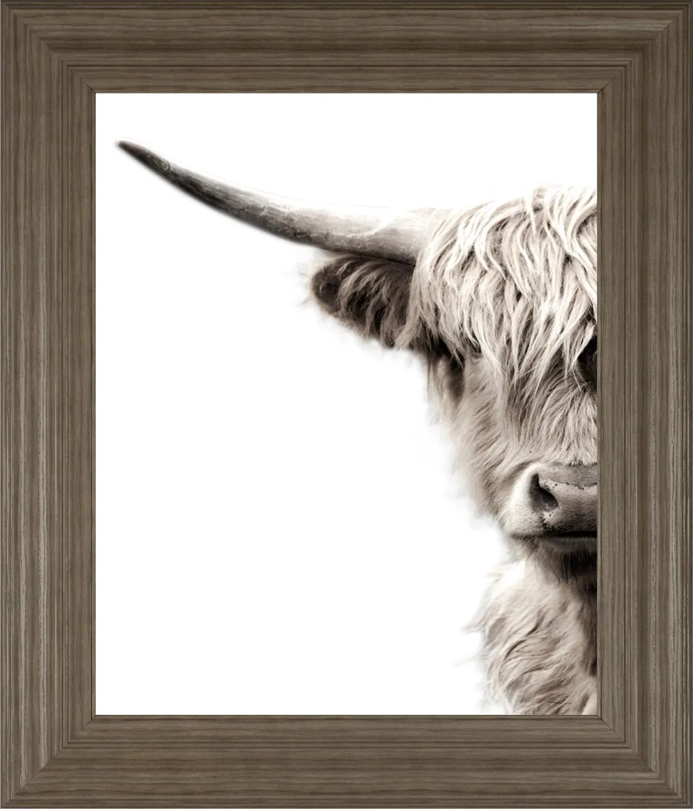 Highland Cattle Framed Art