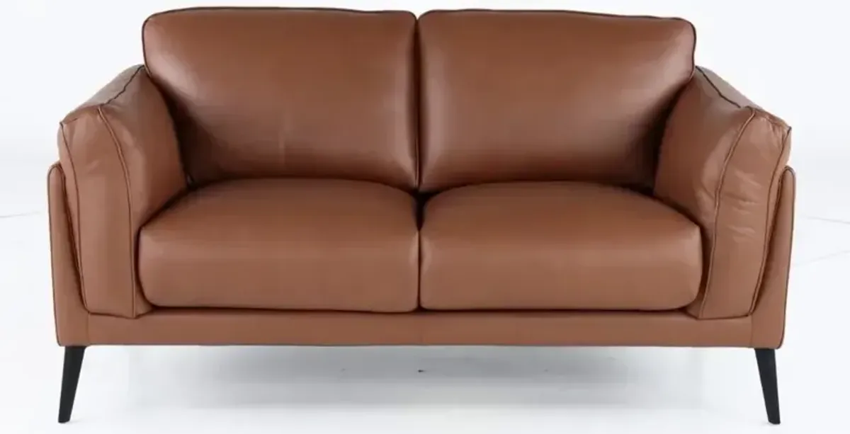 Paris Brown Leather Loveseat