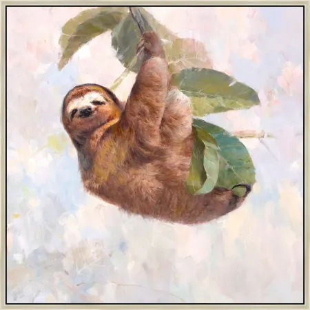 Taking It Slow Sloth Framed Art