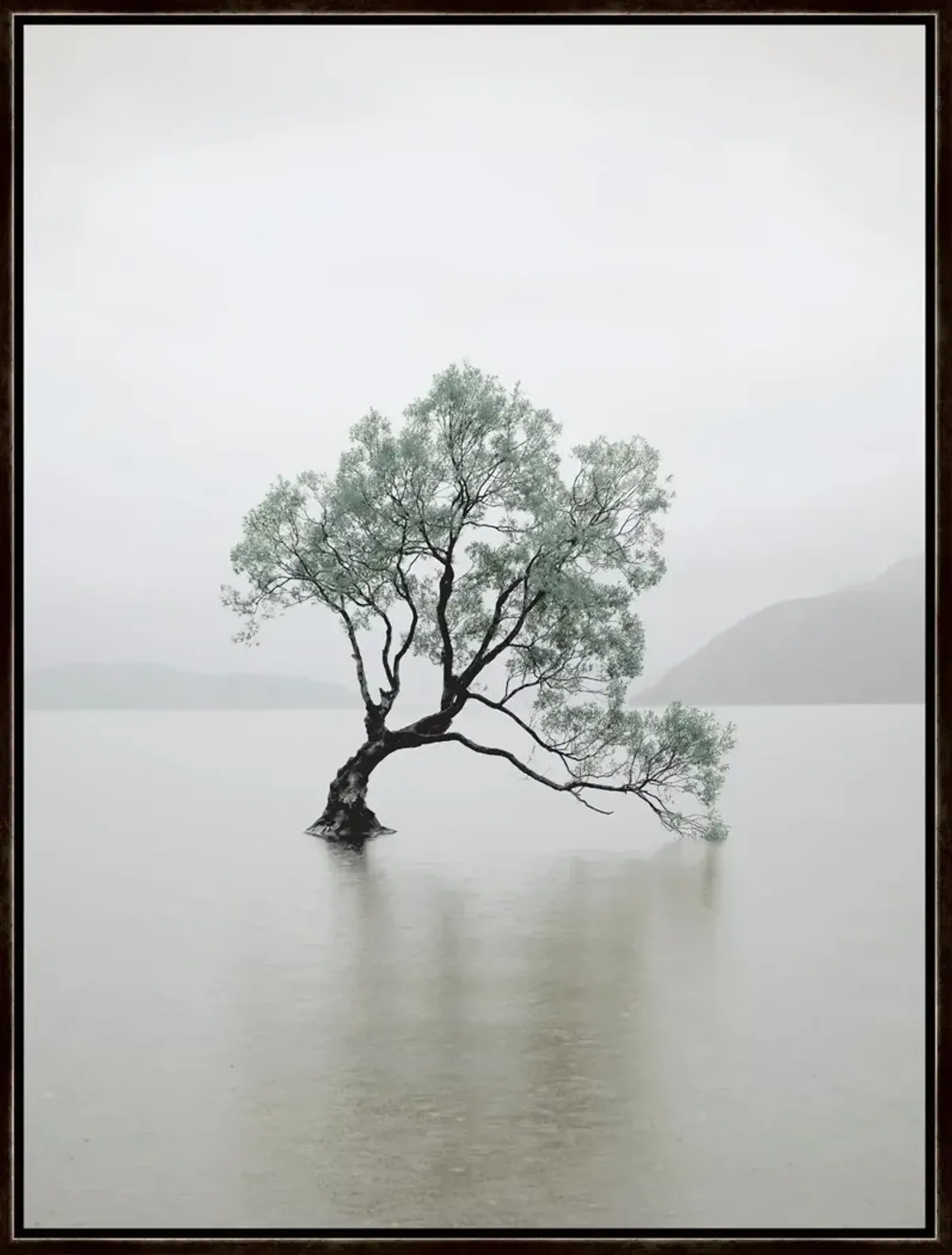 Tranquil Tree Framed Art
