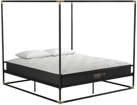 Celeste Canopy Black and Gold King Canopy Bed