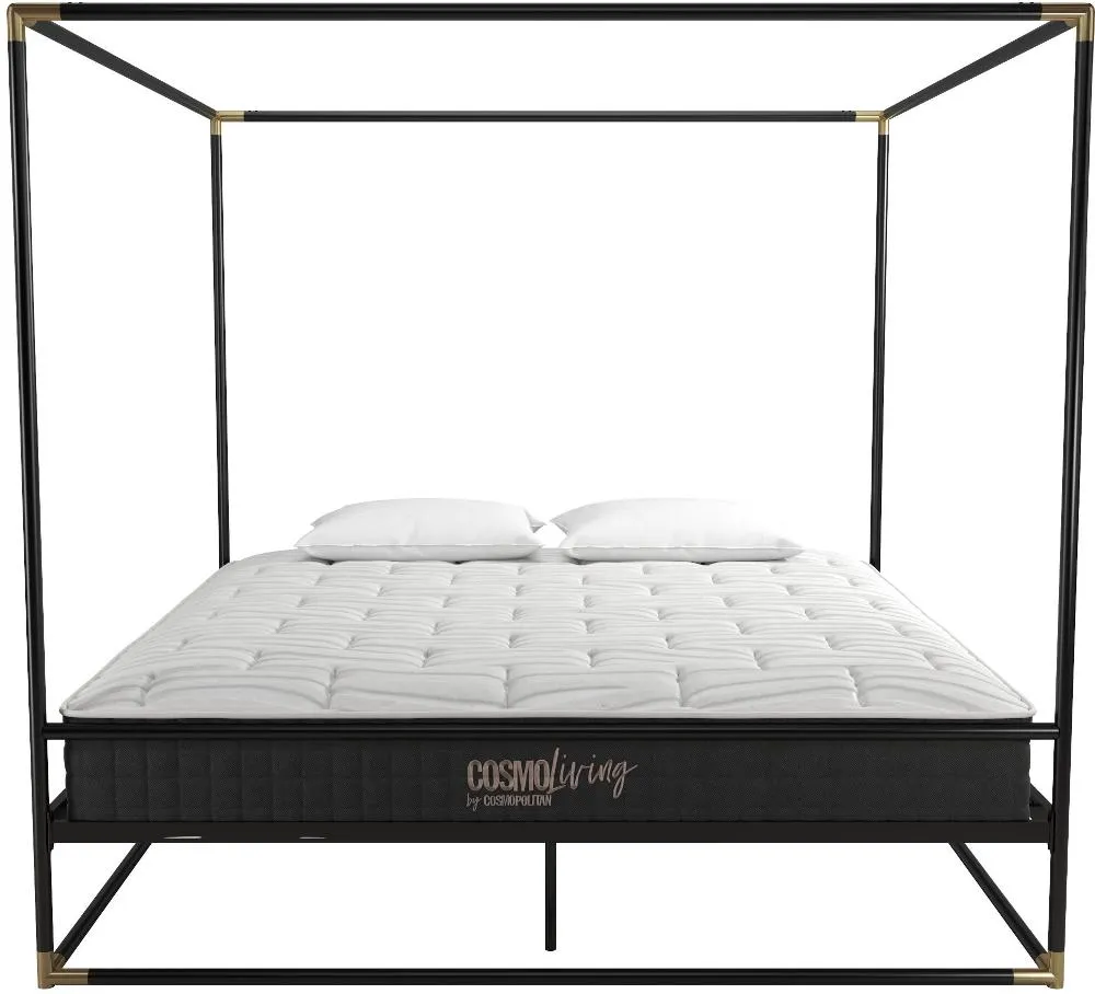 Celeste Canopy Black and Gold King Canopy Bed