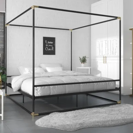 Celeste Canopy Black and Gold King Canopy Bed