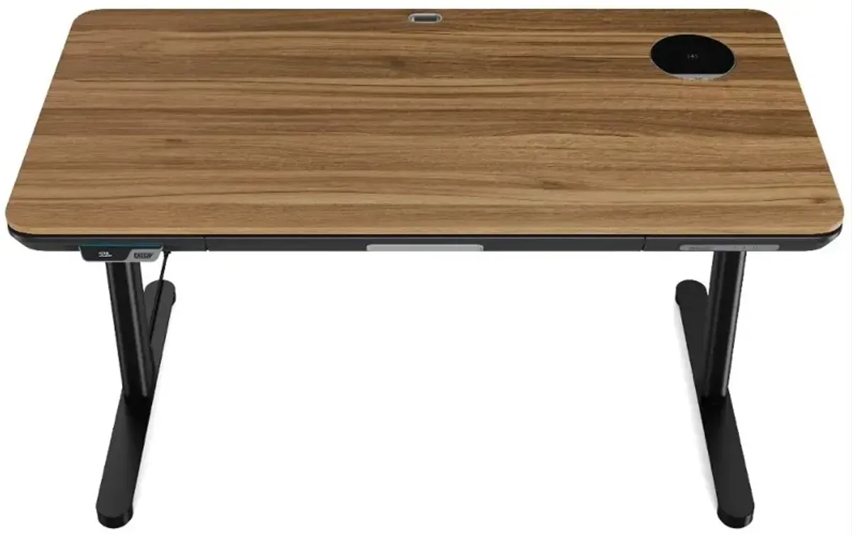 ErgoFx Adjustable Height Standing Desk With Walnut Desktop