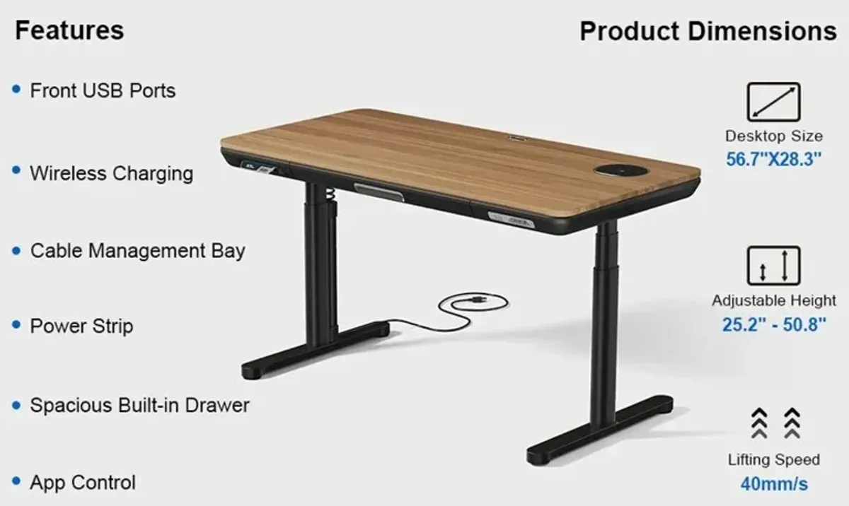 ErgoFx Adjustable Height Standing Desk With Walnut Desktop