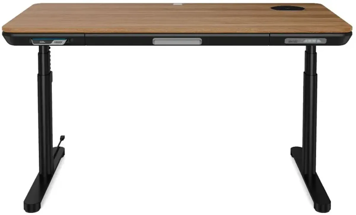 ErgoFx Adjustable Height Standing Desk With Walnut Desktop