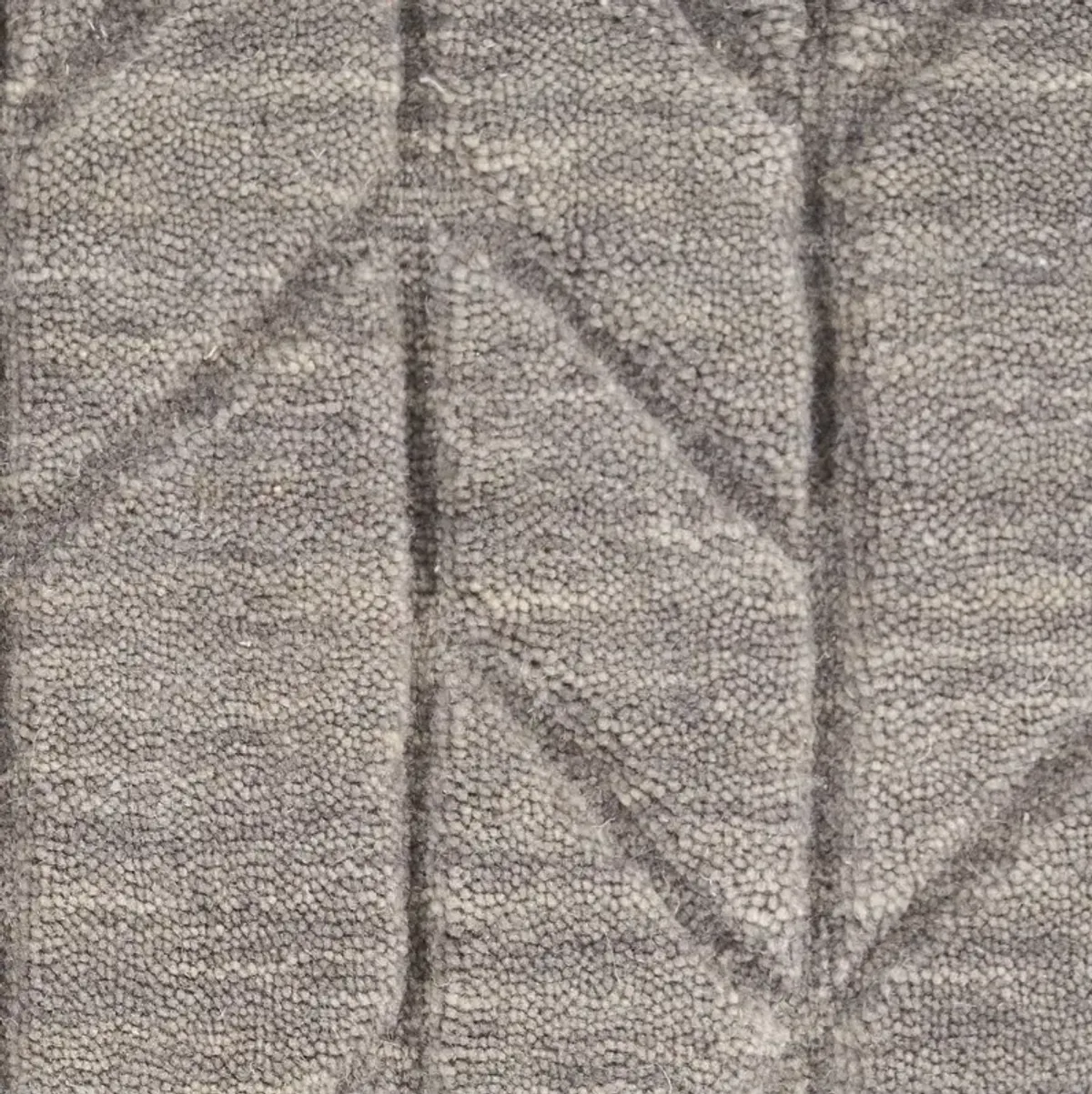 Alessia 8 x 10 Gray Area Rug