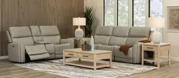 Damon Capriccio Dove Power Reclining Sofa with Power Lumbar and Headrest
